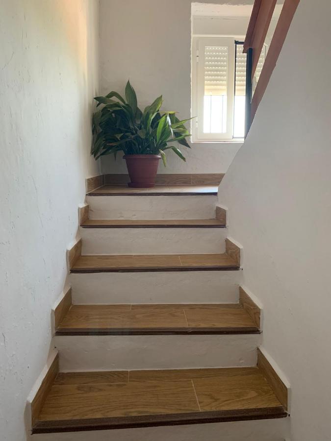 Appartement San Francisco Ii Siles